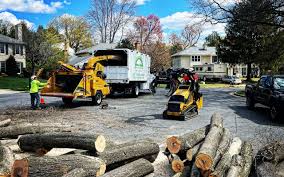 Best Seasonal Cleanup (Spring/Fall)  in Oviedo, FL