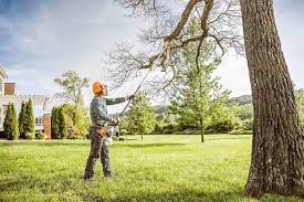 Best Commercial Tree Services  in Oviedo, FL