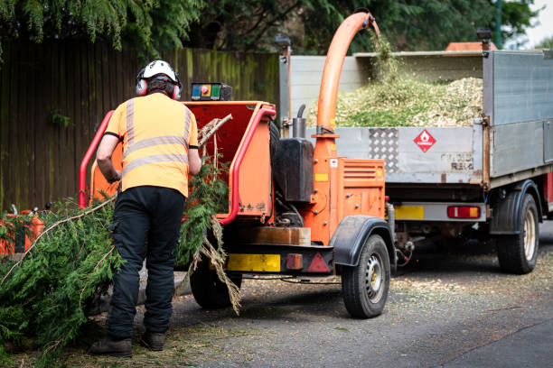Best Utility Line Clearance  in Oviedo, FL