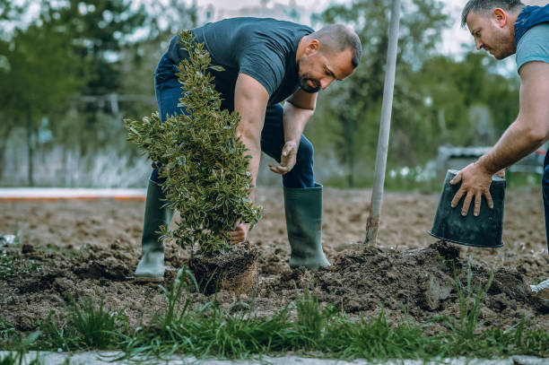 Best Lawn Pest Prevention  in Oviedo, FL
