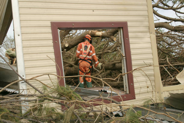 Best Tree Mulching  in Oviedo, FL