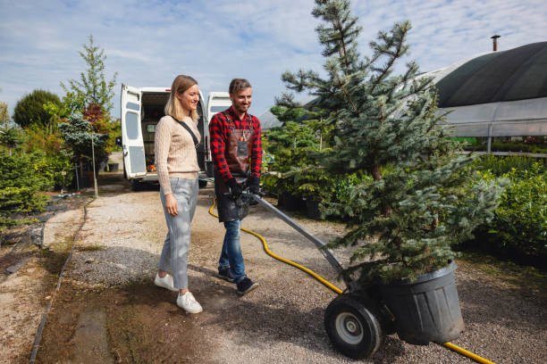 Reliable Oviedo, FL Tree Services Solutions